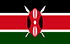 TGM Panel Készpénz keresése Kenyában